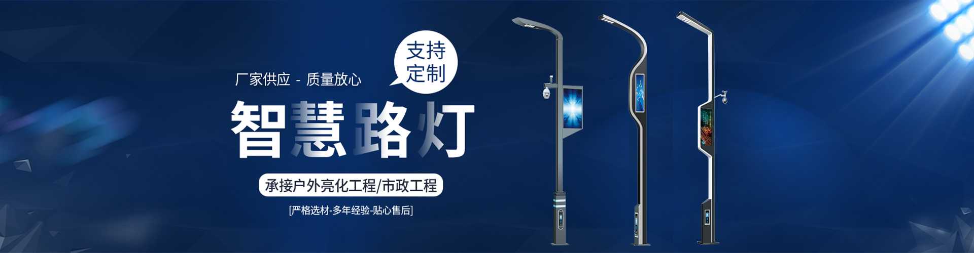 遂宁市太阳能路灯定制厂家